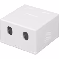 Techly Presa a Muro per 2 Frutti Keystone Bianco