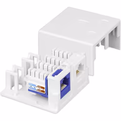 Techly Presa a Muro per 2 Frutti Keystone Bianco