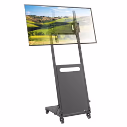 Techly ICA-TR54 Supporto TV a parete 139,7 cm (55") Nero