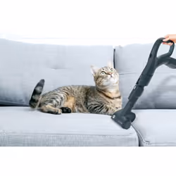 Hoover H-POWER 700 , Aspirapolvere a traino, 2L, 850W, Senza sacchetto - Vista aggiuntiva 5