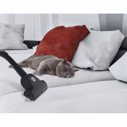 Hoover Brave BV60PET 011 2,5 L A cilindro Secco 700 W Sacchetto per la polvere - Vista aggiuntiva 6