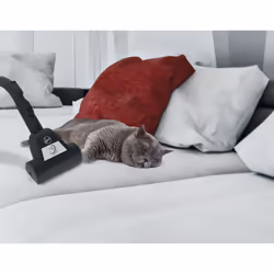 Hoover H-POWER 300 HP330ALG 011 2 L A cilindro Secco 850 W Senza sacchetto - Vista aggiuntiva 7