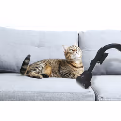 Hoover H-ENERGY 700 HE720PET 011 6 L A cilindro Secco 850 W Sacchetto per la polvere - Vista aggiuntiva 8