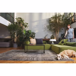 Hoover HE120PET 011 2,5 L A cilindro Secco 700 W Sacchetto per la polvere - Vista aggiuntiva 5