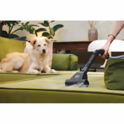 Hoover HE120PET 011 2,5 L A cilindro Secco 700 W Sacchetto per la polvere - Vista aggiuntiva 6