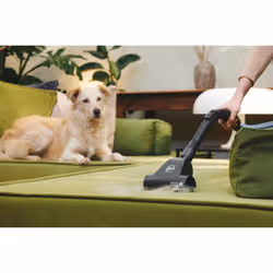 Hoover Telios Extra TXL80PET 011 3,5 L Aspiratore a cilindro Secco 700 W Sacchetto per la polvere - Vista aggiuntiva 5