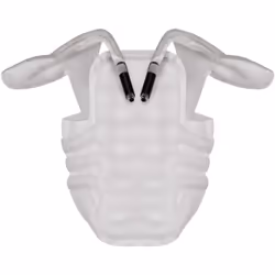 Alpinestars Tech-Air 5 Airbag Vest, grigio, dimensione S per donne
