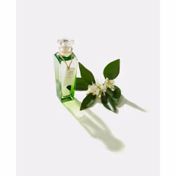 Adolfo Dominguez Agua Fresca de Azahar 120 ml Donna - Vista aggiuntiva 4