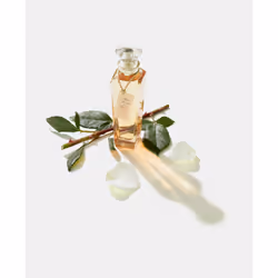 Adolfo Dominguez Agua Fresca de Rosas Blancas 120 ml Donna - Vista aggiuntiva 4