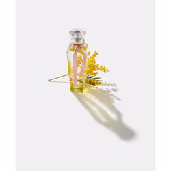 Adolfo Dominguez Agua Fresca de Mimosa Coriandro 120 ml Donna - Vista aggiuntiva 4