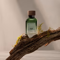 Vetiver Terra eau de parfum vaporizzatore 120 ml - Vista aggiuntiva 4