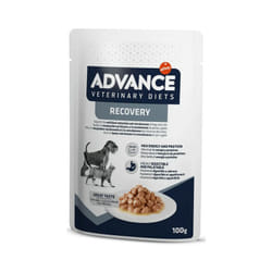 Veterinary Diets Recovery per Cani e Gatti bst da 100 gr - Advance
