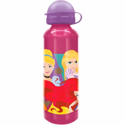 DISNEY Borraccia Bambine Disney Princess in alluminio da 530 ml, senza BPA, con tappo di sicurezza e beccuccio, lavabile e ri ...
