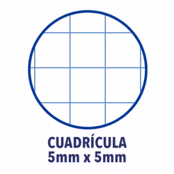 Oxford 100430197 quaderno per scrivere A4 Blu