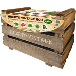 EDM - Cassetta da giardino ecologica vintage verde
