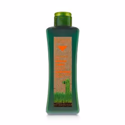 Salerm Cosmetics Treated Hair Shampoo, 300 ml, Shampoo, Professionale, Donna, Capelli colorati, Tutti i colori