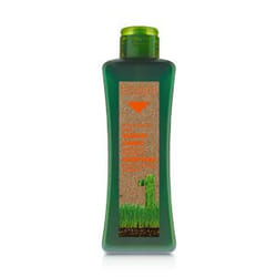 Salerm Cosmetics Treated Hair Shampoo 300 ml Professionale Donna