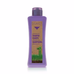 Salerm Cosmetics Grapeology Shampoo, 300 ml, Shampoo, Professionale, Donna, Capelli colorati, Grigio