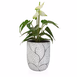 Versa 21790024 vaso da fiori 2 pz