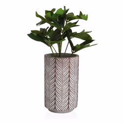 Versa 21790028 vaso da fiori 2 pz