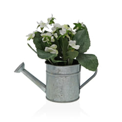 Versa 21570013 vaso da fiori 6 pz