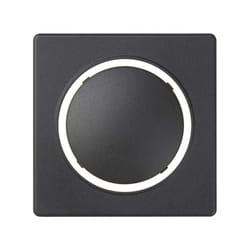 Simon 82034-38 Placca copripresa e copri interruttori Grafite