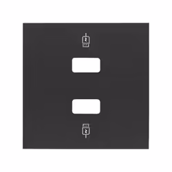 Simon 10001096-238, Nero, Plastica, Simon 100, USB, IP20, CE