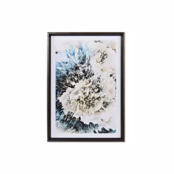 Fijalo Meti_CU180433, 700 mm, 60 mm, 1000 mm