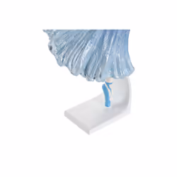 Fijalo Meti_FD190317 statuetta e statua ornamentale Blu Resina