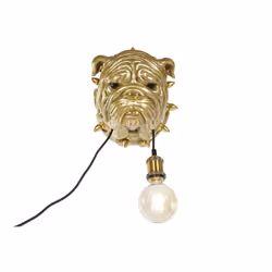 Fijalo Meti_LA209351, Oro