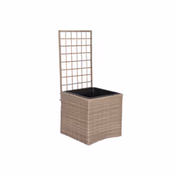 Fijalo Meti_MC211115, Malacca, 780 mm, 480 mm, 1160 mm