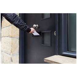 Arregui C-601 Porta della cassetta postale Acciaio inox