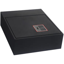 ARREGUI Basa 20000-S7K Cassaforte da installare mimetizzata sul fondo dell'armadio, apertura a chiave, 11x31x38 cm, 11 L