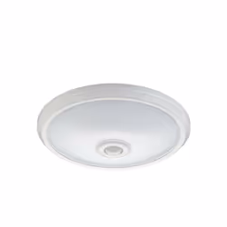 Presentazione : Questa lampada da parete EDM - rilevatore di movimento - illuminazione di emergenza - 16W - 1100 Lumen - 4000 ...
