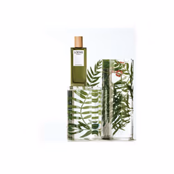 LOEWE Perfumes Esencia 100 ml Uomo - Vista aggiuntiva 4