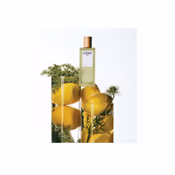 LOEWE Perfumes Aire 30ml Donna - Vista aggiuntiva 4