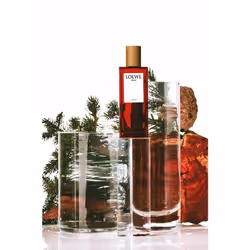 LOEWE Perfumes Solo Cedro 100 ml Uomo - Vista aggiuntiva 4