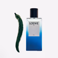 Loewe 7 Elixir eau de parfum vaporizzatore 50 ml - Vista aggiuntiva 4