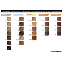 Revlon Revlonissimo Colorsmetique High Coverage colore per capelli Biondo 60 ml - Vista aggiuntiva 6