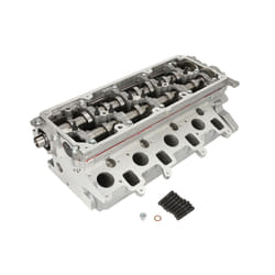 Testa del cilindro AMC 908920