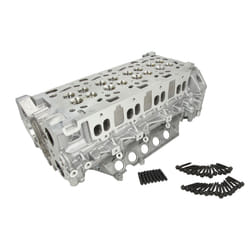 Testa del cilindro AMC 908526
