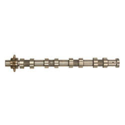 Albero a camme AMC 647253