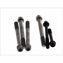 Dimensioni filettatura: M12/175X116-QTY=1, M12/175X80-QTY=1, M14/200X136-QTY=4. Indice: AMC258085. Numero del Produttore: 258 ...