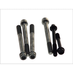 Set di bulloni per testa del cilindro AMC 258085