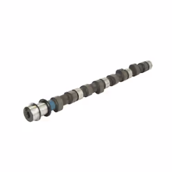 Albero a camme AMC 664841