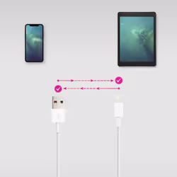 Nanocable 10.10.0400 cavo Lightning 0,5 m Bianco - Vista aggiuntiva 4