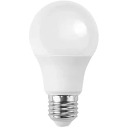 Lampadina led A60 bulbo classico bianco freddo f 15 watt E27