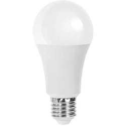 Lampadina led A60 bulbo classico bianco freddo f E27 21 watt