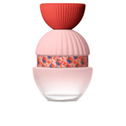 Fun &amp; Chic eau de parfum vaporizzatore 100 ml