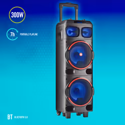 NGS WILD DUB 1 Altoparlante portatile stereo Nero 300 W - Vista aggiuntiva 6